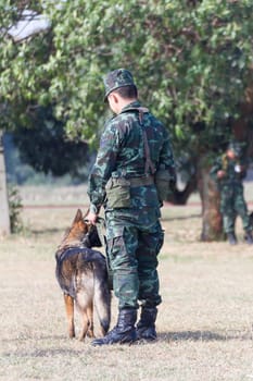 THAILAND- DECEMBER 18: Training Dogs of War, Thailand's Army on December 18, 2014 in Saraburi, Thailand.