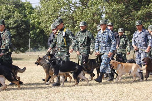 THAILAND- DECEMBER 18: Training Dogs of War, Thailand's Army on December 18, 2014 in Saraburi, Thailand.