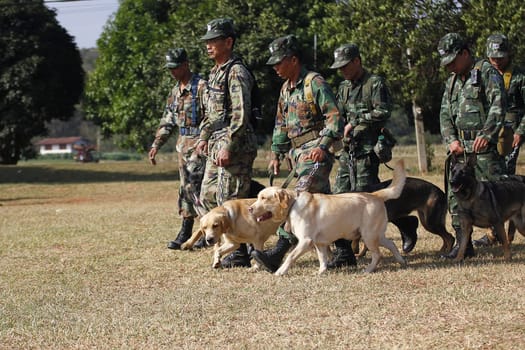 THAILAND- DECEMBER 18: Training Dogs of War, Thailand's Army on December 18, 2014 in Saraburi, Thailand.