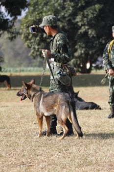 THAILAND- DECEMBER 18: Training Dogs of War, Thailand's Army on December 18, 2014 in Saraburi, Thailand.