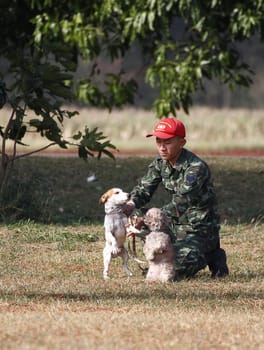 THAILAND- DECEMBER 18: Training Dogs of War, Thailand's Army on December 18, 2014 in Saraburi, Thailand.
