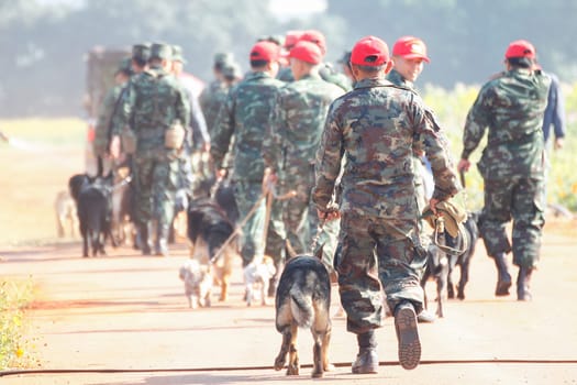 THAILAND- DECEMBER 18: Training Dogs of War, Thailand's Army on December 18, 2014 in Saraburi, Thailand.