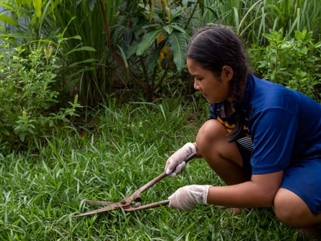 Woman holding the gardening scissors and cutting the grass field.
