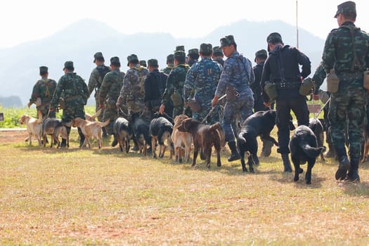 THAILAND- DECEMBER 18: Training Dogs of War, Thailand's Army on December 18, 2014 in Saraburi, Thailand.