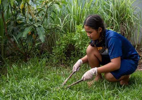 Woman holding the gardening scissors and cutting the grass field.