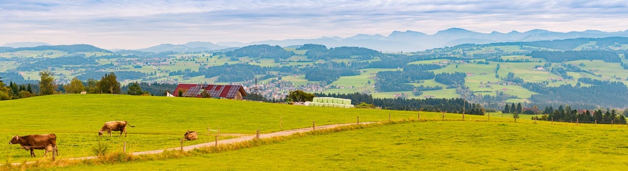 Countryside farm in Bavaria, Germany, Europe. Winding road and cows in foreground, blue cloudy sky and mountains in background. House with solar panels on roof.