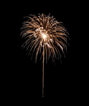 Gold firework exploding in night sky