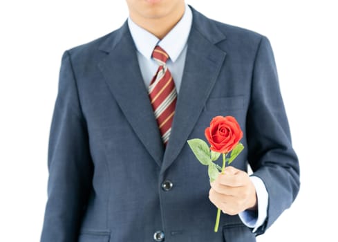 Close up photo of businessman in suit holding with red rose on white background