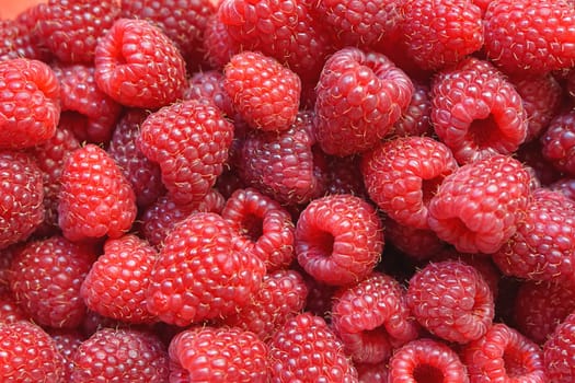 Big pile of fresh raspberries