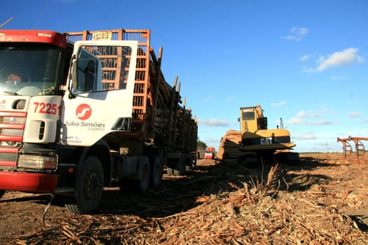 eunapolis, bahia / brazil - july 8, 2011: eucalyptus log transport cart in the rural area of the city of Eunapolis, in southern Bahia.