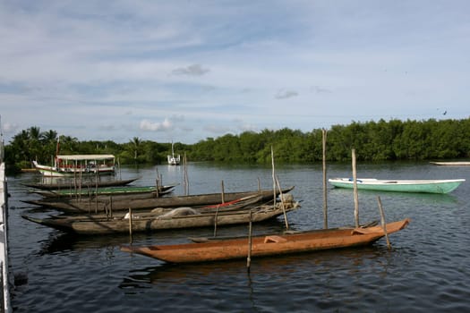 camamu, bahia / brazil - january 10, 2012: canoes are seen in Baia de Camamu, in the city of Camamu, in southern Bahia.