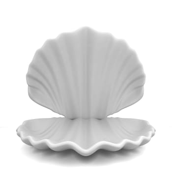 Empty shell. 3d illustration isolated on white background
