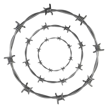 Barbed wire. 3d illustration isolated on white background