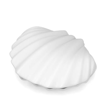 Sea shell. 3d illustration isolated on white background