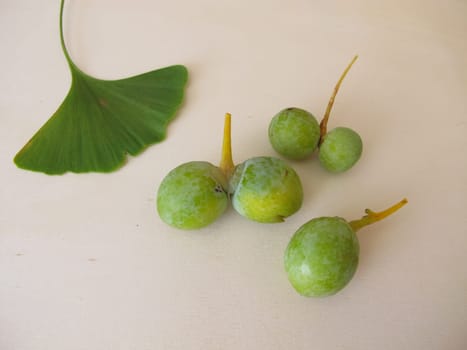 Ginkgo seeds with seed shell, Ginkgo biloba