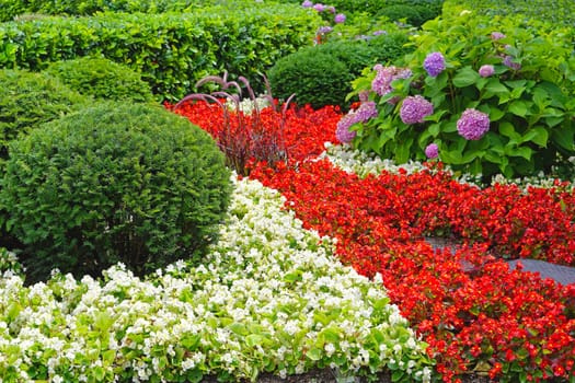 Cultivated garden with flowers in park