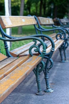 Row of empty benches in park