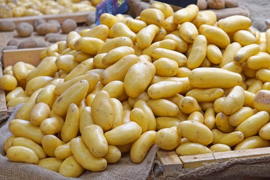 Big pile of french potatoes