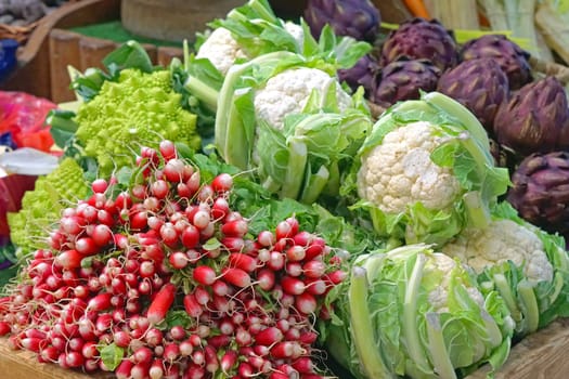 Red radish cauliflower and romanesque pile