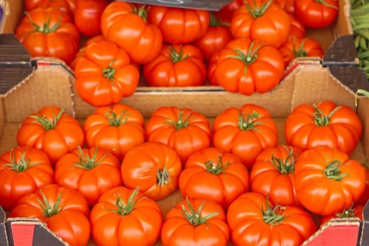 Big tomatoes in crates at market