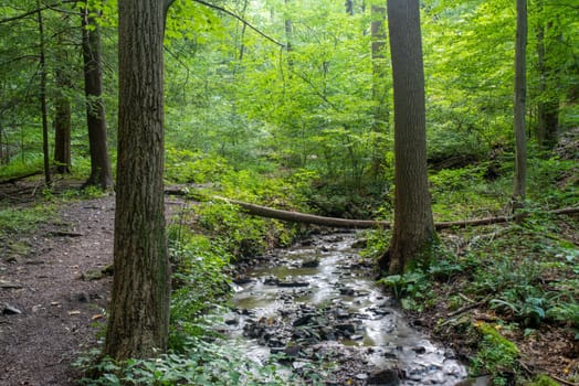 Beautiful calming nature scene. Full frame image shot in natural dappled sunlight. Long exposure gives a soft, abstract, surreal look to the flowing stream.