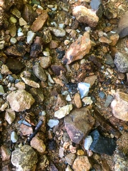 Toad sits in the center, camouflaged by surrounding stones along a forest stream.. Natural light image with copy space.