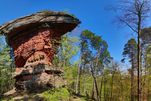 Devil's table stands on a hill in the middle of the forest