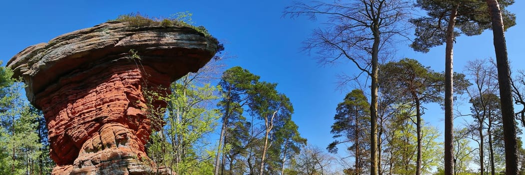 Devil's table stands on a hill in the middle of the forest