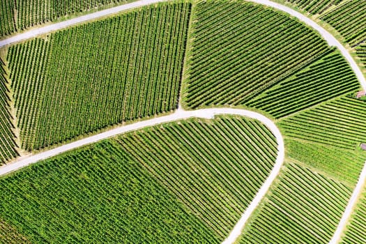 Vineyard from above with paths and roads