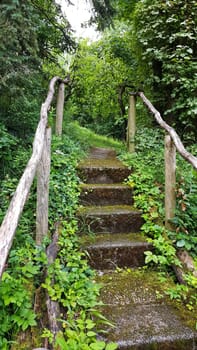 Stairs on the hiking trail through the forest