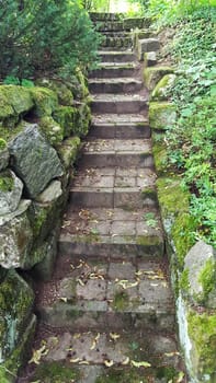 Stairs on the hiking trail through the forest