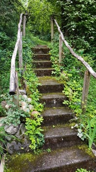 Stairs on the hiking trail through the forest