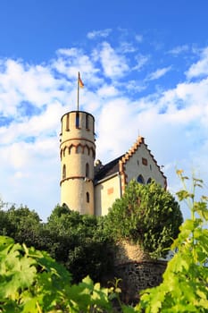 Miniature castle lick cone in the middle of the vineyard