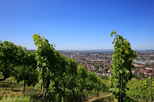 Statue Robert Mayer is a sight of the city of Heilbronn