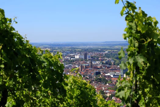 Statue Robert Mayer is a sight of the city of Heilbronn