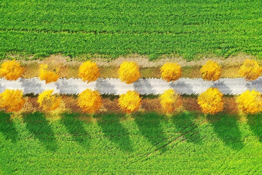All in the autumn From above