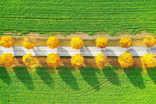 All in the autumn From above