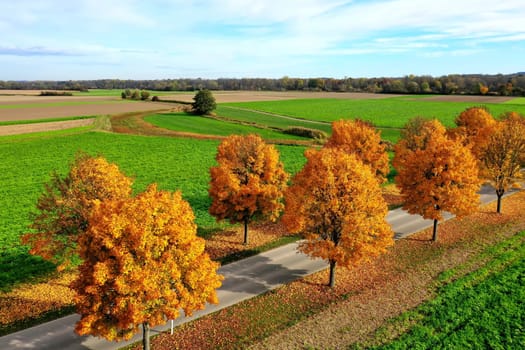 All in the autumn From above