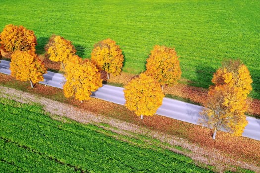 All in the autumn From above