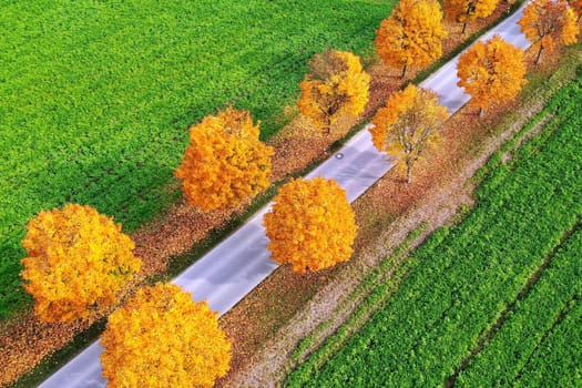 All in the autumn From above