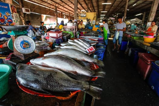 Takua Pa, Thailand - February 22, 2016:  Fresh fish and seafood on local market.
