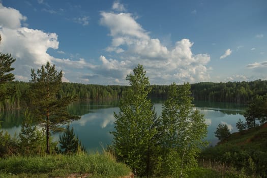 forest lake landscape. Lake view forest