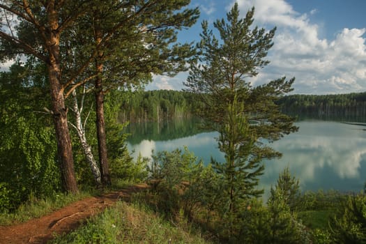 forest lake landscape. Lake view forest