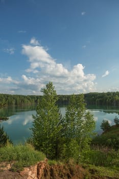 forest lake landscape. Lake view forest