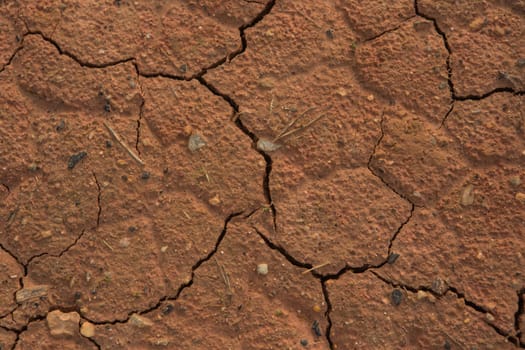 Cracked earth in dry desert.