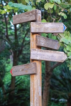 Old wooden direction pole in woods