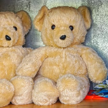 Big plush stuffed cuddly bear toy at shelf