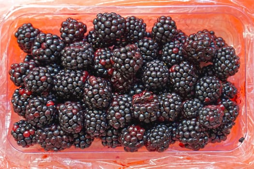 Fresh blackberries in plastic tray