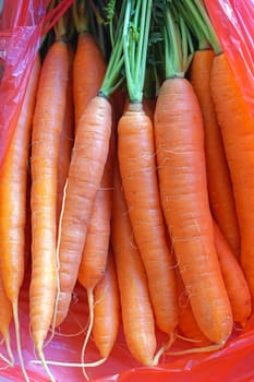 Bunch of fresh carrots in bag