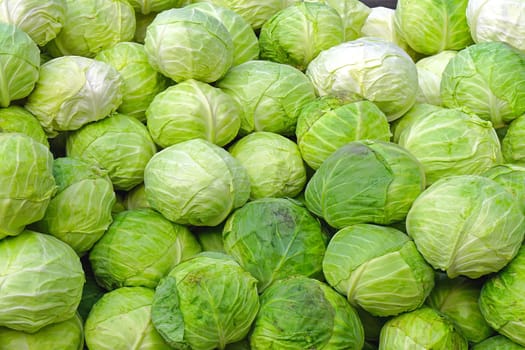 Big bunch of green cabbage at farmers market